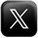 x-icon