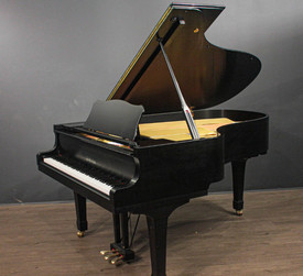 yamahababygrand